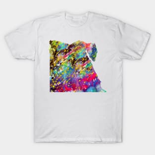 Egypt map T-Shirt